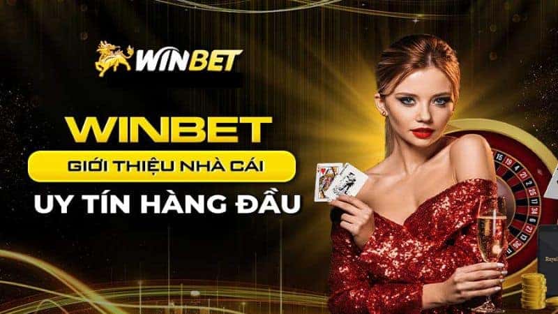 Đôi nét về website Winbet