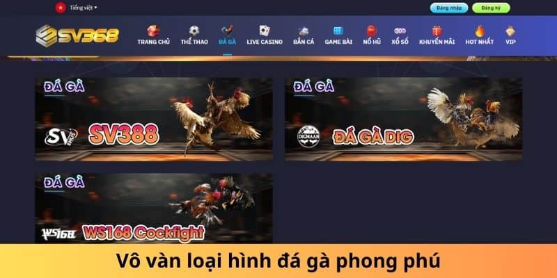 Vô vàn loại hình đá gà phong phú